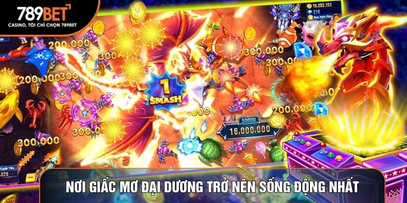 Nơi giấc mơ đại dương trở nên sống động nhất